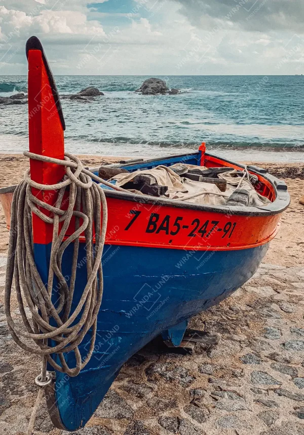 2024BAR003 2024BAR003