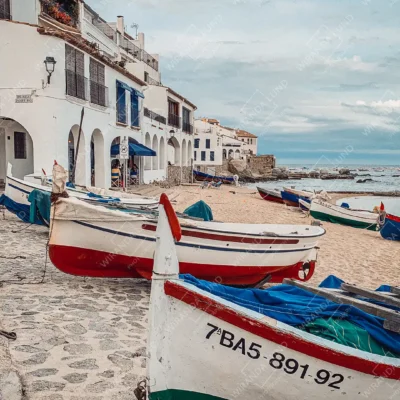 2024BAR004 2024BAR004